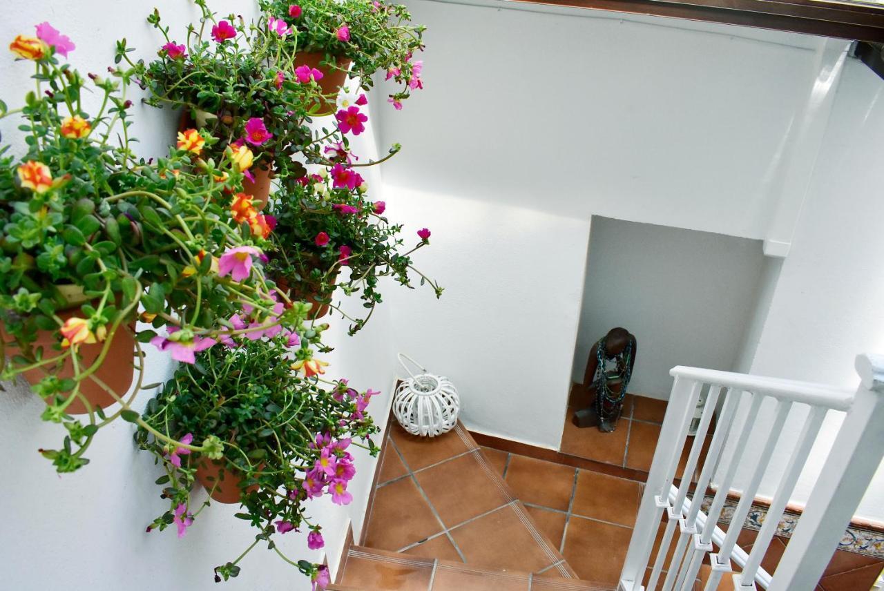 Casa Calma Ronda Estudio Lägenhet Exteriör bild
