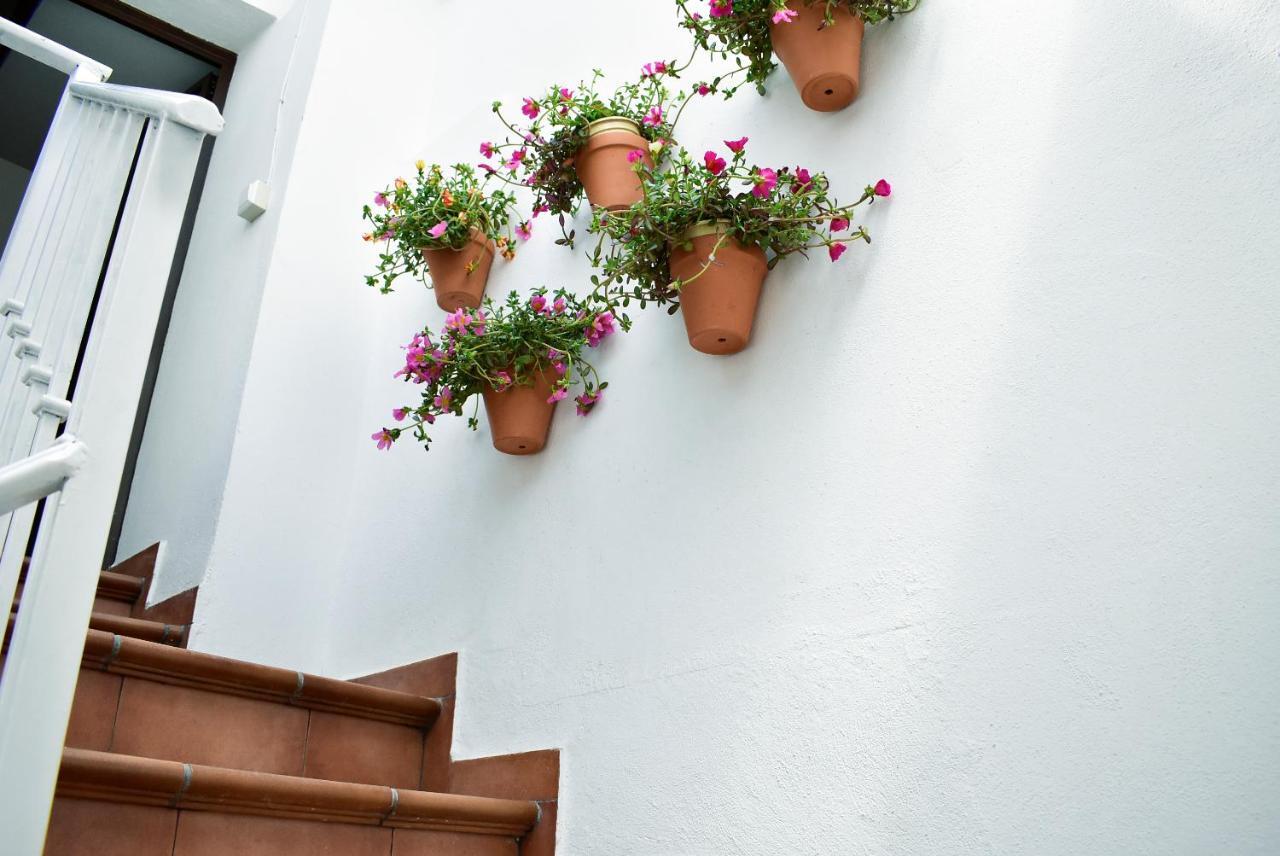 Casa Calma Ronda Estudio Lägenhet Exteriör bild